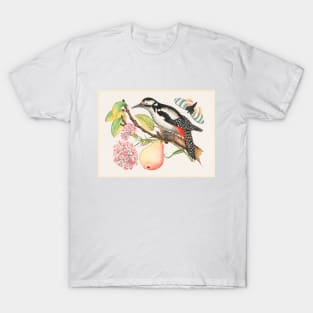 Bird Perched on a Branch with a Pear, Blossoms, and Leaves (18th Century) T-Shirt